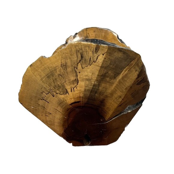 Wood Bowl Live Raw Edge Natural Knots Rustic Home Decor 12x7 Cottage Cabin Beach - Picture 8 of 10